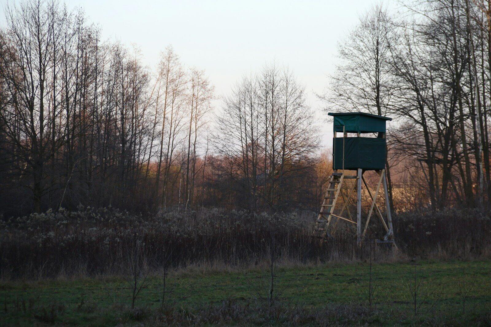 A bird house in a field with trees in the background